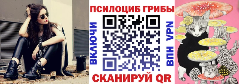 Галлюциногенные грибы Psilocybine cubensis  Купить  Тарко-Сале 